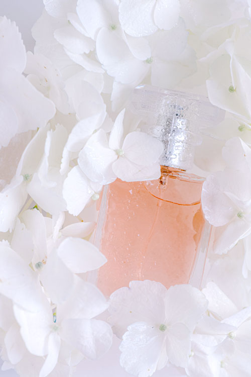 perfume-company-09