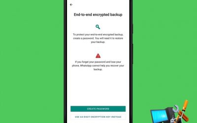 WhatsApp permitirá encriptar las copias de seguridad que subamos a Google Drive o iCloud con el Fin de Aumentar la Seguridad